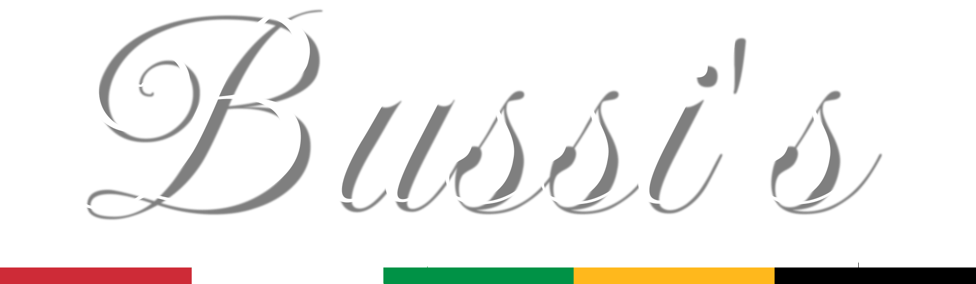 Bussi's Logo on the splash page with red white green yellow black underline